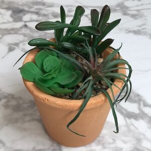 Faux Succulent Arrangement in Terra Cotta Pot 4” Home Decor
